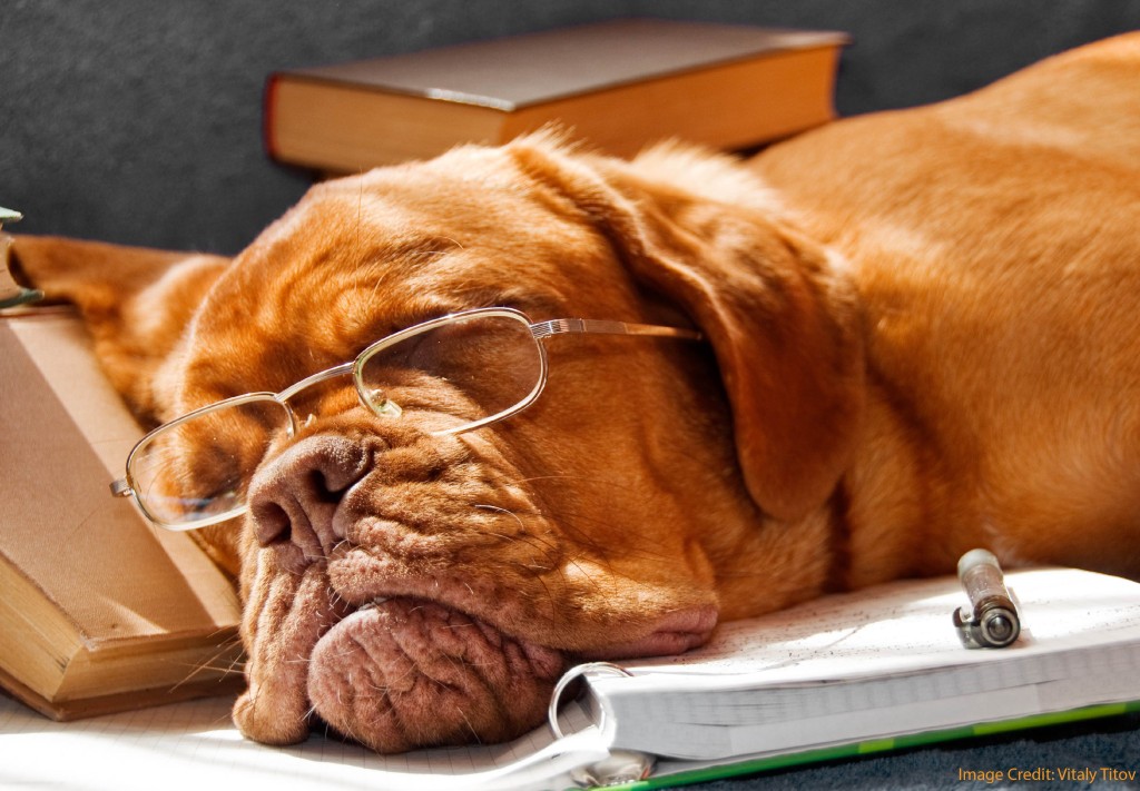 Does Later High School Start Time Really Lead to More Sleep?