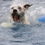 AdobeStock_88297958_Credit