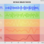 understanding brain waves