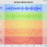 understanding brain waves