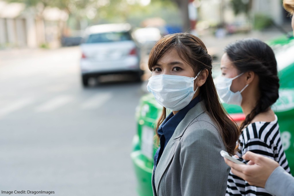 pollution harms working memory