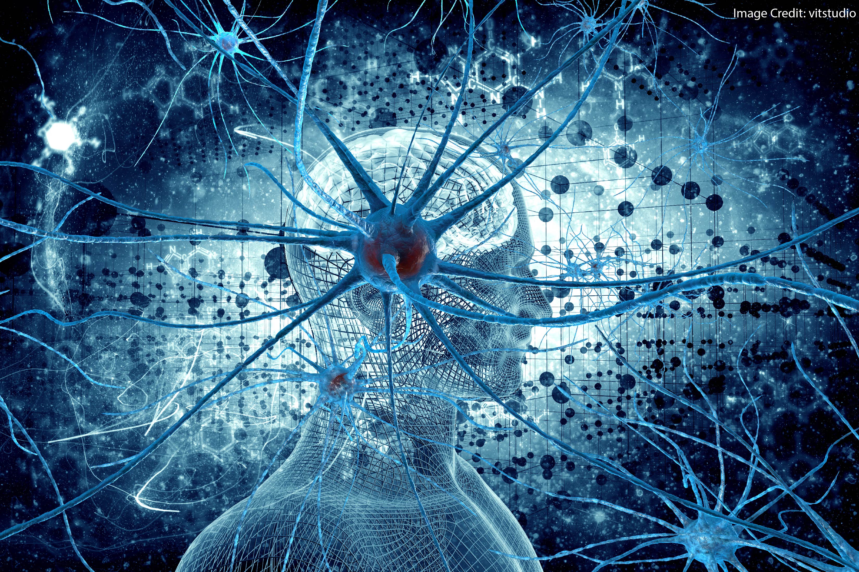 Brain neurons. Нейронная сеть. Нейронная сеть мозга. Нейронные связи в мозге. Мозг нейросети.