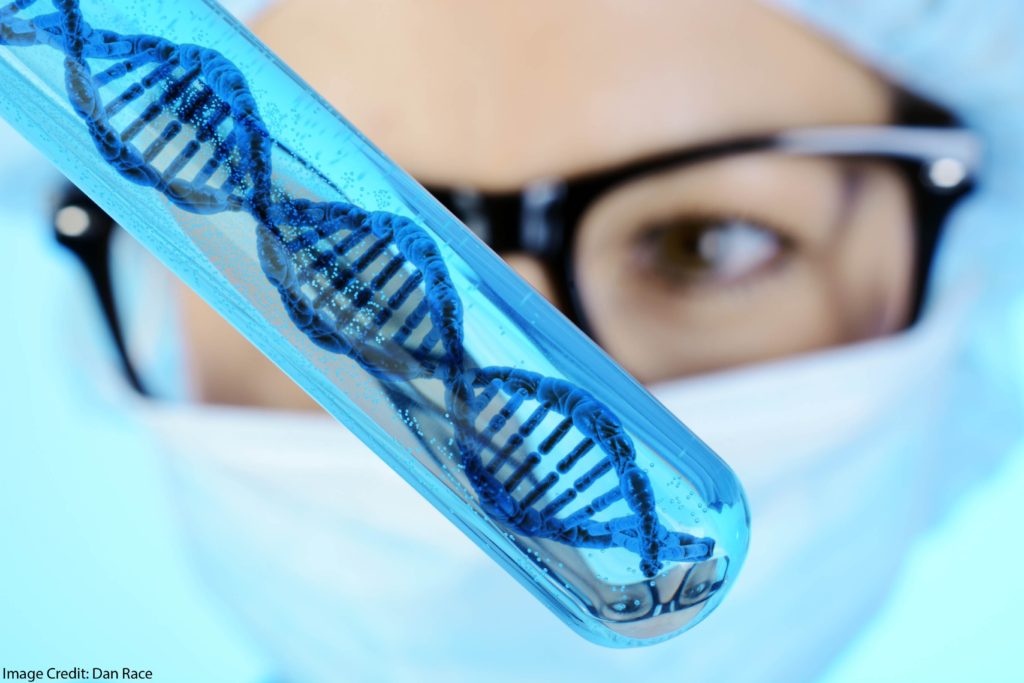 How Can We Encourage Girls to Pursue STEM Disciplines?