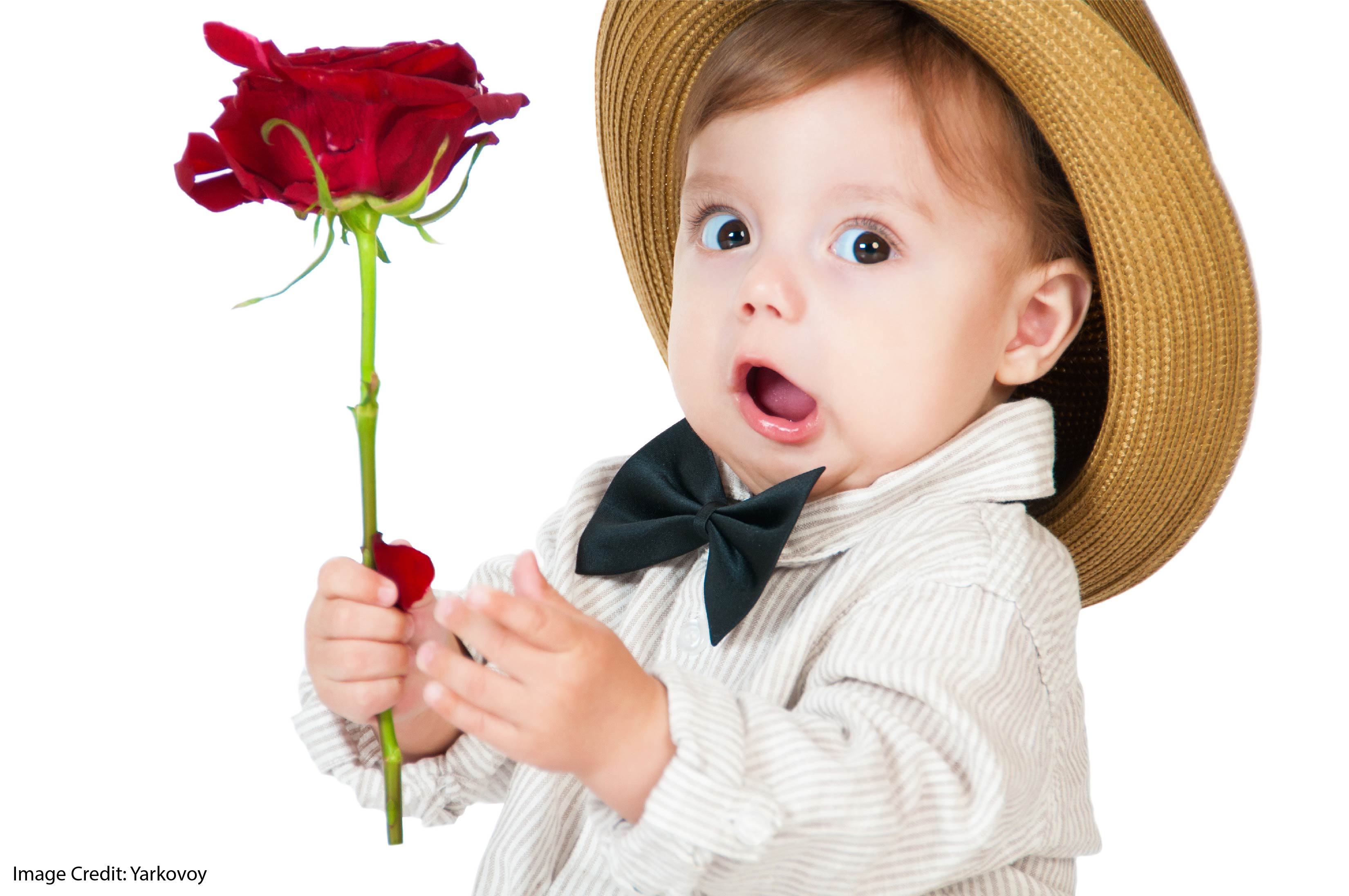 A Rose by Any Other Name Would Smell as Confusing |Education & Teacher  Conferences