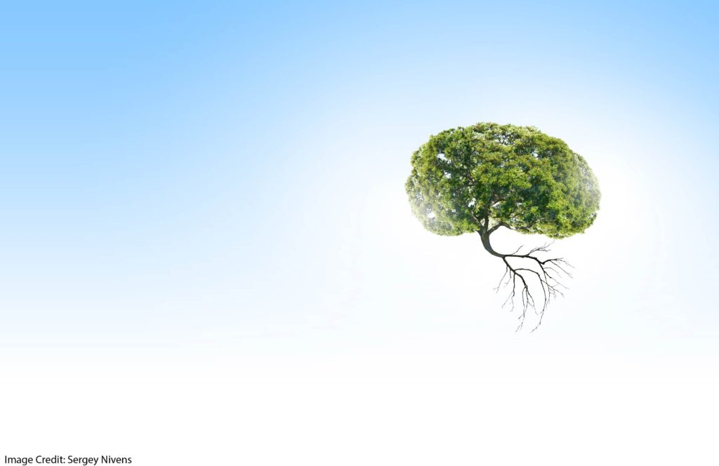 Growing Mindsets in Argentina?