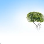 AdobeStock_75977513_Credit