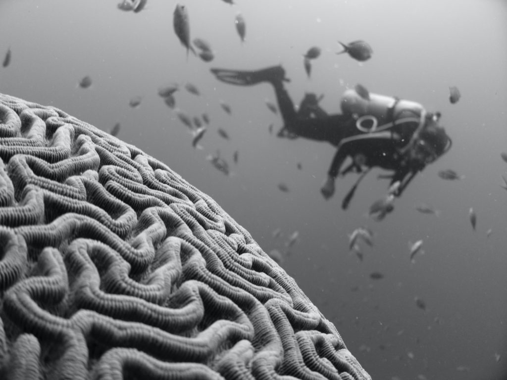 Two New Ways of Thinking About Memory