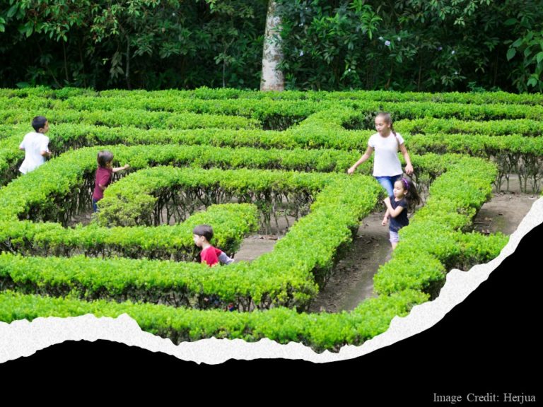 Children Playing in Maze