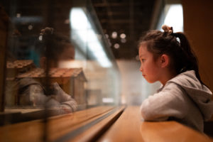 Young girl looking intently into a museum display case