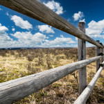 A closeup view looking along a post-an-rail fence on a prairie of brown and green