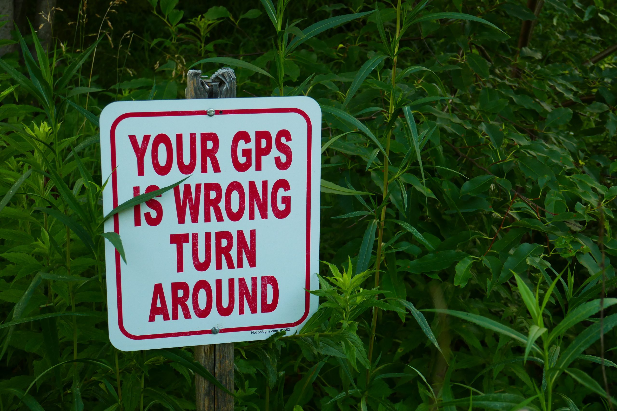 A sign planted in tall grass. It reads: "Your GPS is wrong; turn around."