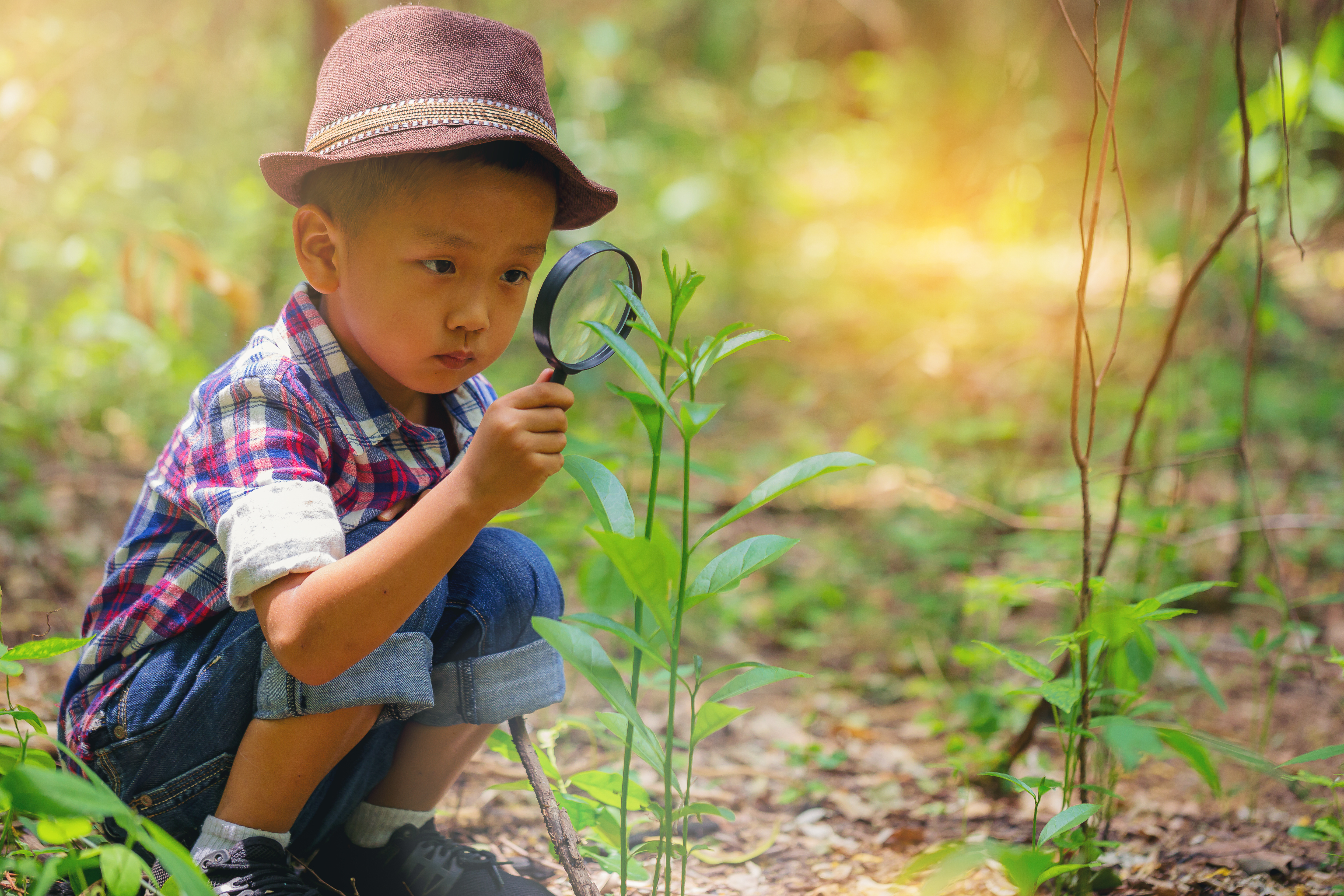 From Defensiveness to Curiosity