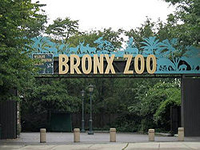 bronx zoo